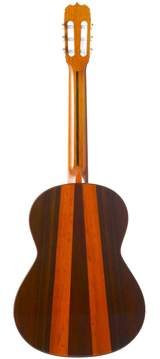 tr-delvino-1-coral.jpg